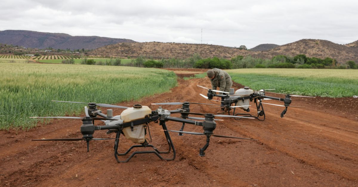 A Beginner's Guide to MRV